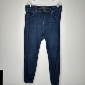 Torrid Premium Skinny Blue Jeans